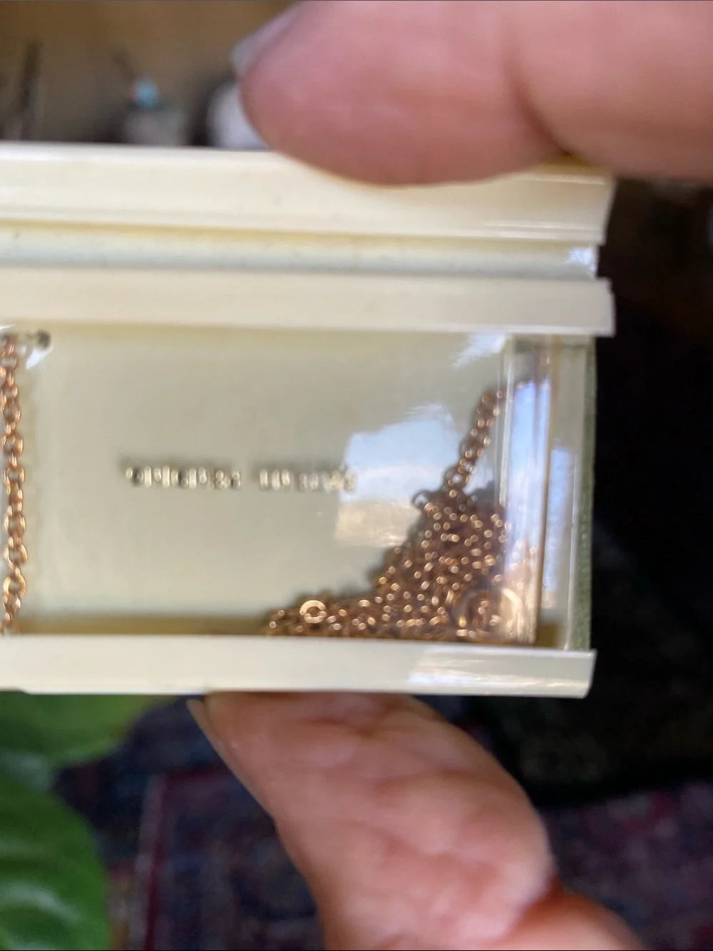 kate spade White Butterfly Pendant Necklace with Gold-Tone Chain